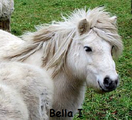 BellaI