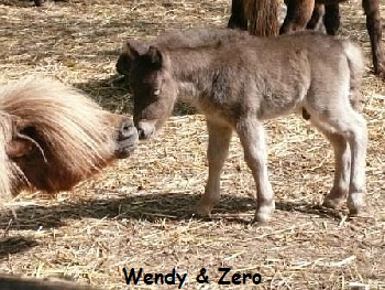 Wendy - Zero