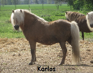 Karlos_052017