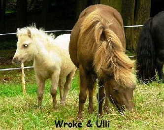 Ulli & Wroke