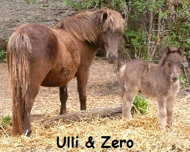 Zero & Ulli