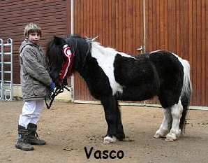 Vasco1