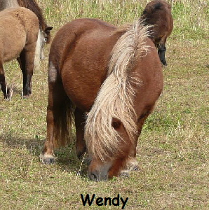 Wendy0910(3)